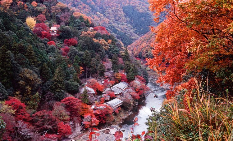 kyoto_autumn